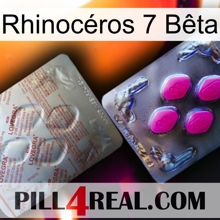 Rhinocéros 7 Bêta 38
